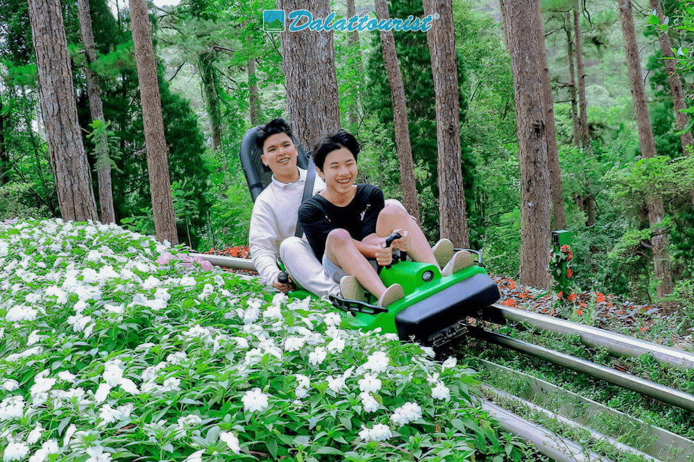 Đường trượt m&aacute;ng xuy&ecirc;n rừng tạo n&ecirc;n những bức ảnh năng động v&agrave; đầy trải nghiệm (Nguồn: Khu Du Lịch Th&aacute;c Datanla - Datanla Waterfall)